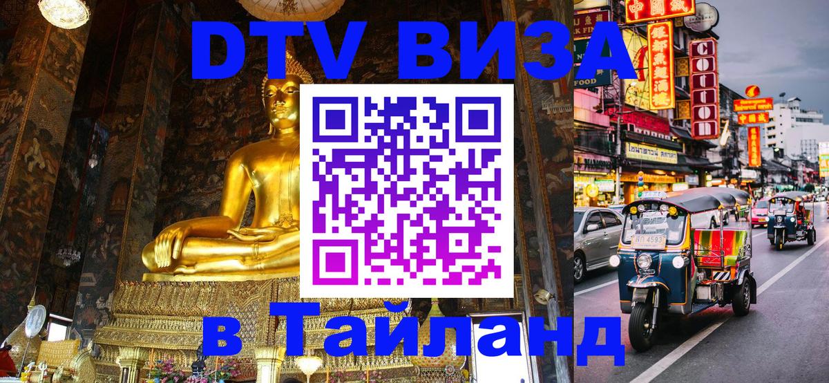 Оформление DTV визы под ключ: стоимость и тарифы, только загранпаспорт - 